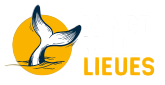 Logo Vingt mille lieues